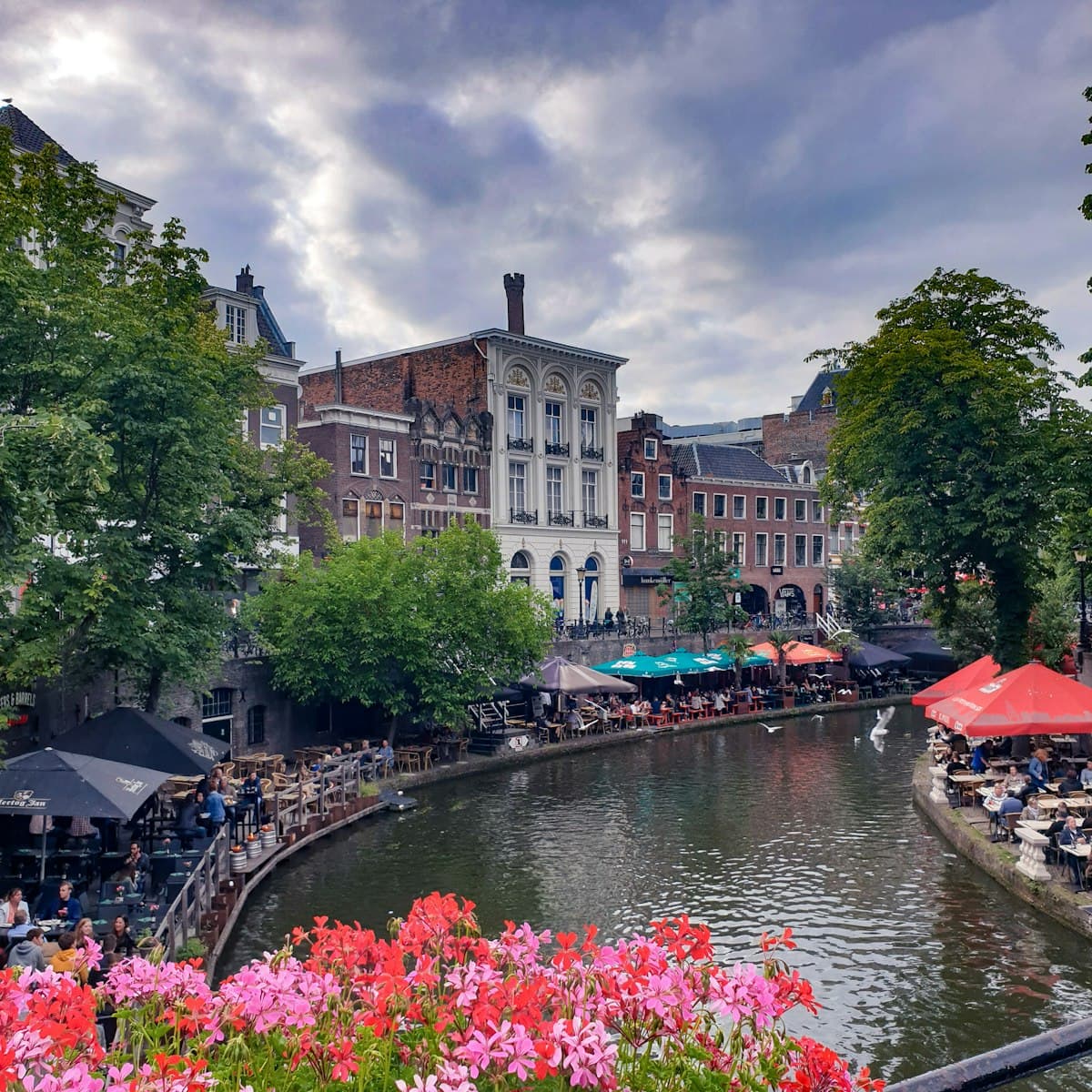 Utrecht'te kanal kenarındaki kafeler ve tarihi binalar